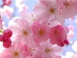 Кожагельдинова Бибигуль