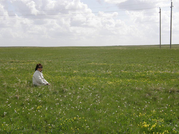 Гульнара Девятко