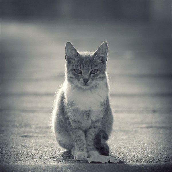 Оля Можаева