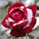 Резеда Хайриева