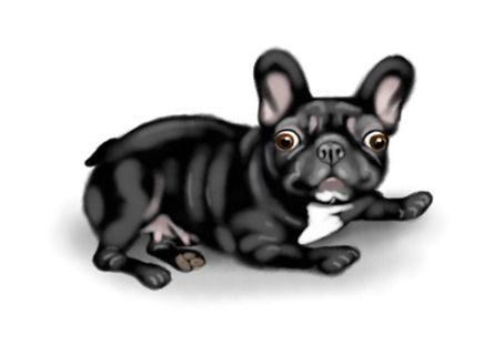 Валентина Каширина