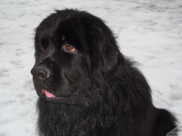 Сабина Березина