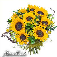 Лариса Щелканова