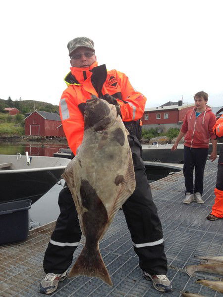 Юрий Докукин