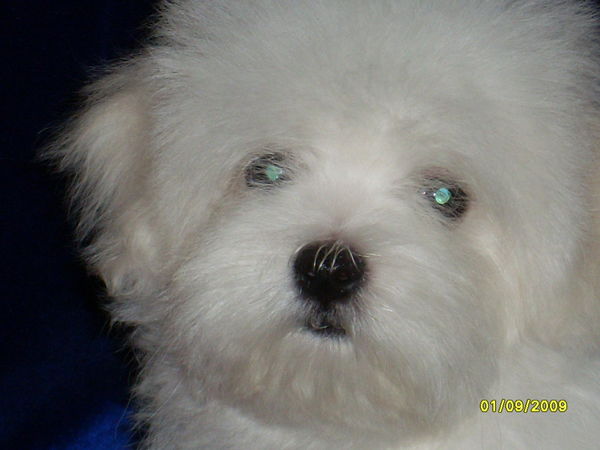 Ирина Цaпаева