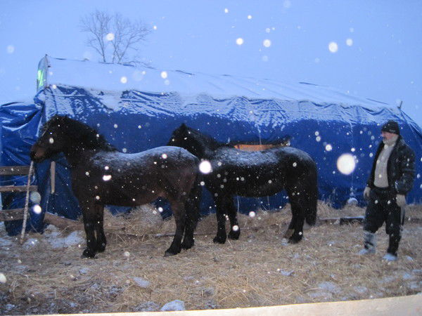 Флюр Ибрагимов