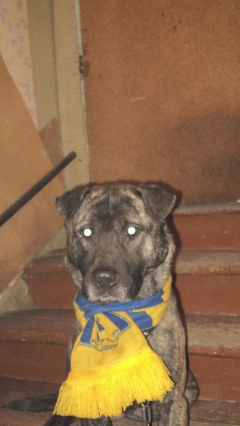 Александр Крамарь