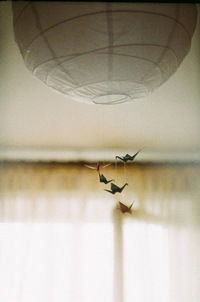 Женя Огурная