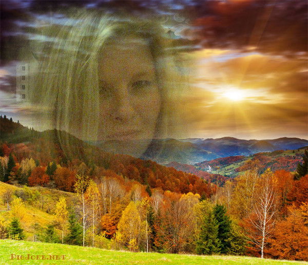 Лариса Петровская