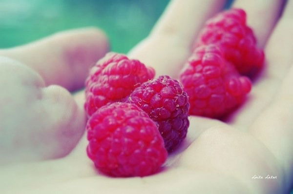 Чернушка Кпк Содействие