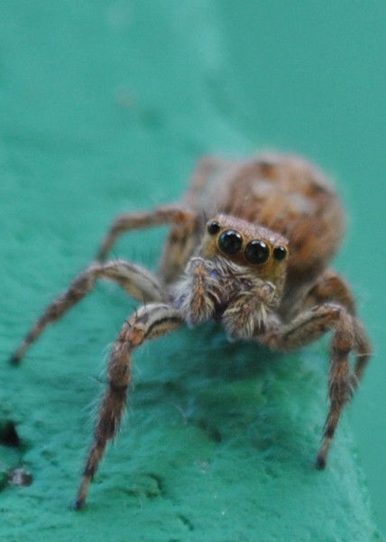 Лёша Болдырев