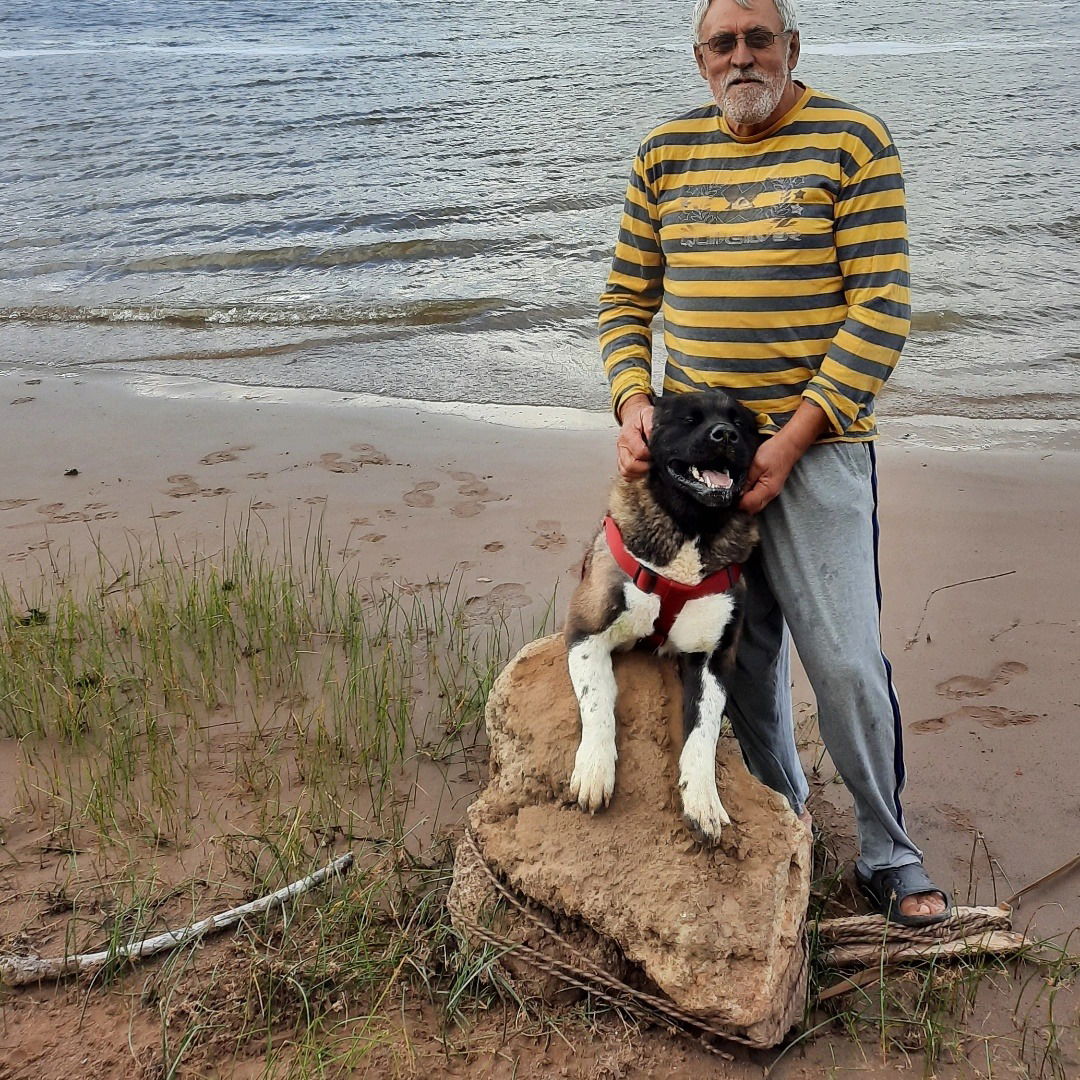 Пётр Закржевский