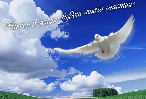 Светлана Хмиль