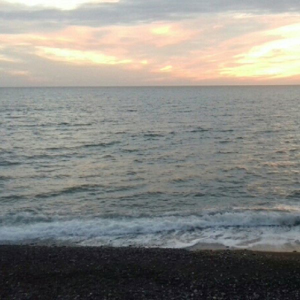 Елена Терентьева