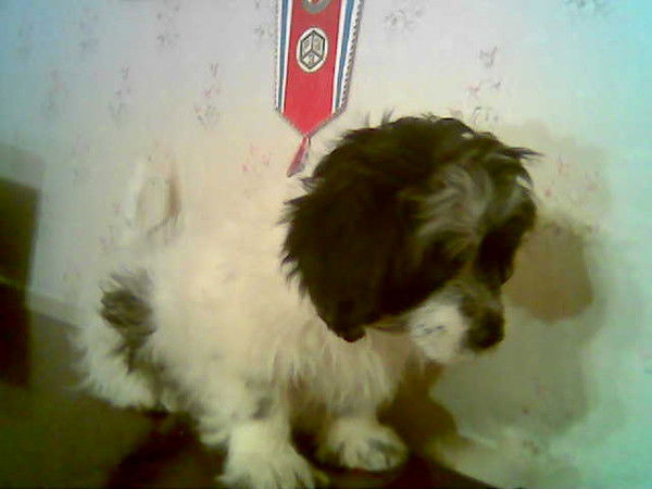 Татьяна Соловьева