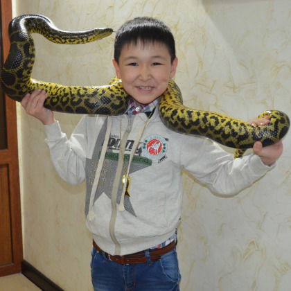 Мира Шагирбаева