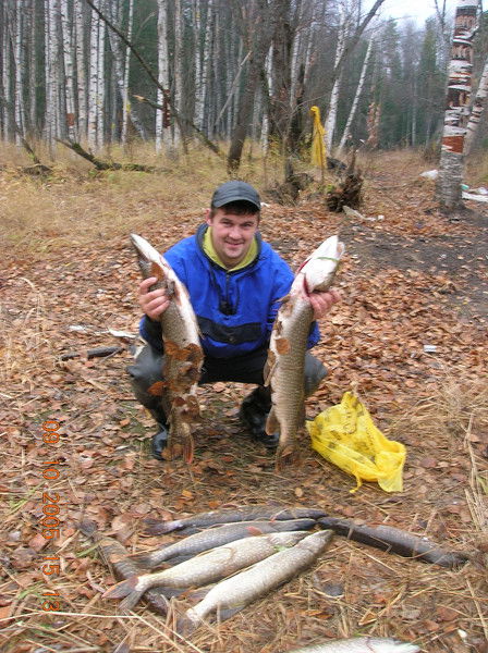 Квитинский Андрей