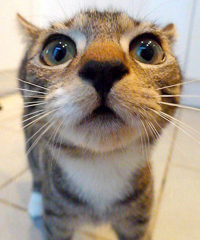 Игорь Иванов