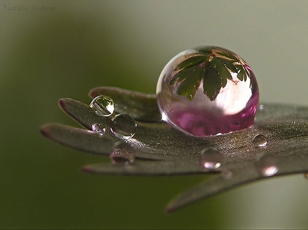 Смаилова Мадина