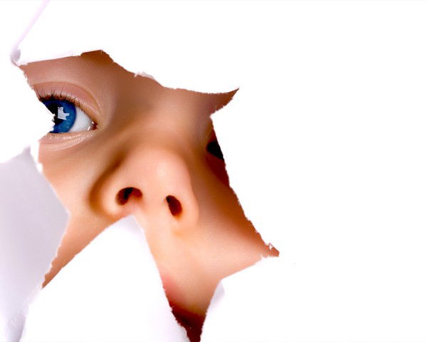 Елена Сергеева