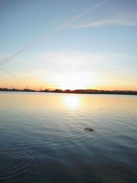 Елена Машке