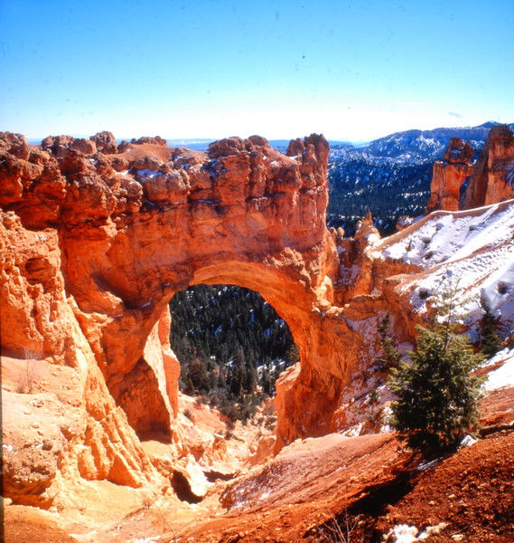 Михаил Лейбов