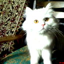 Ирина Рудницкая