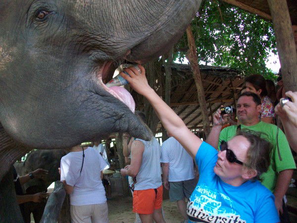 Наталья Зимина