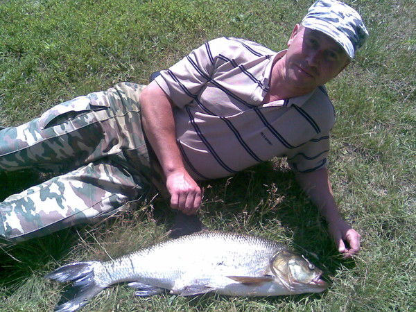 Сергей Матвиенко