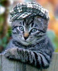 Нурсултан Айтиков