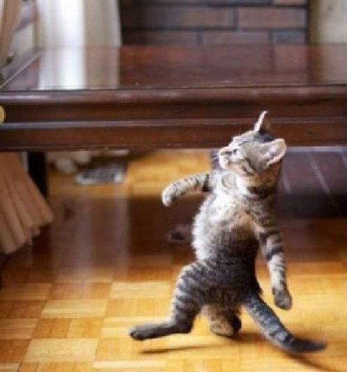 Павел ***********