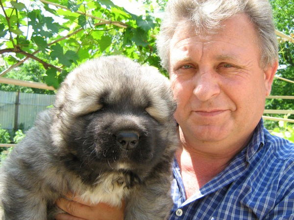 Владимир Дробот