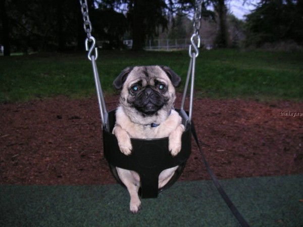 Анастасия Кузьмищева