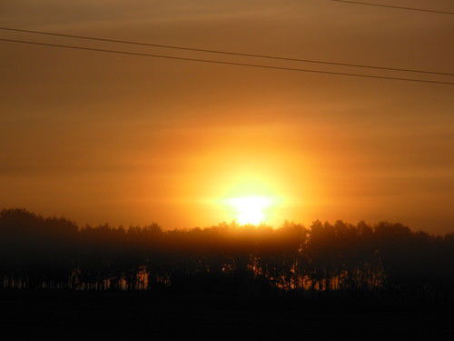 Дмитрий Сорокин