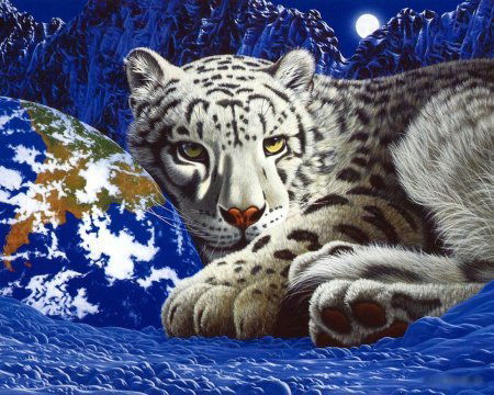 Что лучше лосины или колготки. Смотреть фото Что лучше лосины или колготки. Смотреть картинку Что лучше лосины или колготки. Картинка про Что лучше лосины или колготки. Фото Что лучше лосины или колготки