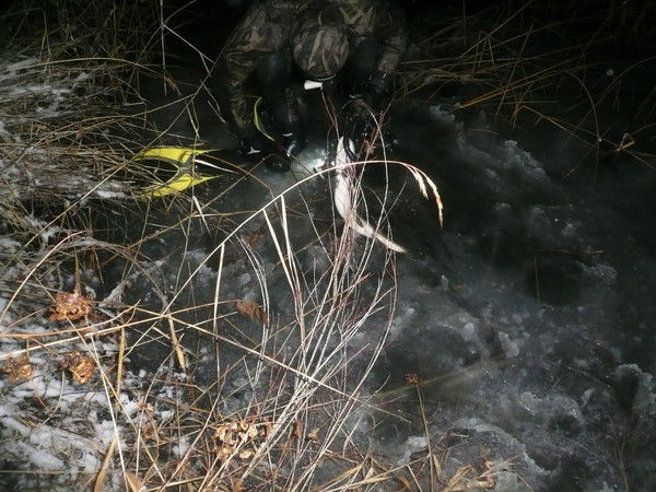 Денис Чернушенко