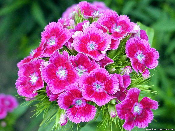 Татьяна Рыбина