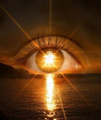 Лёха Академик