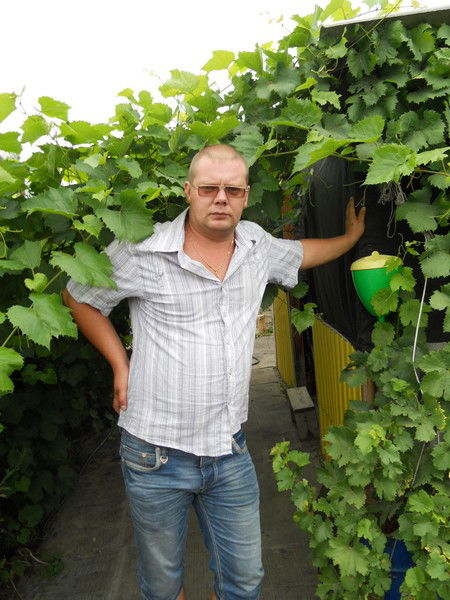 Stroydom73 Stroydom73