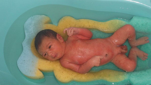 Александр Товалюк