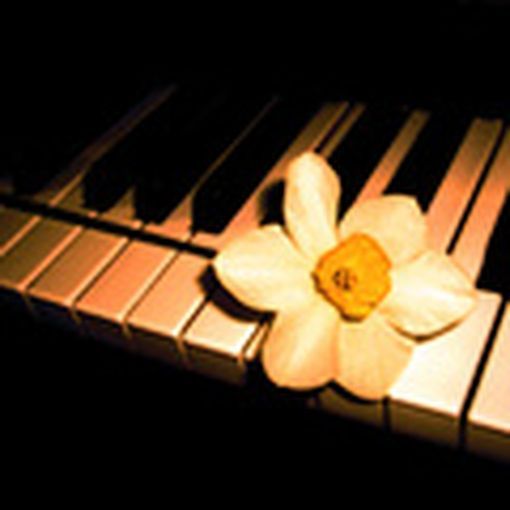 T.r. Композитор - Песенник