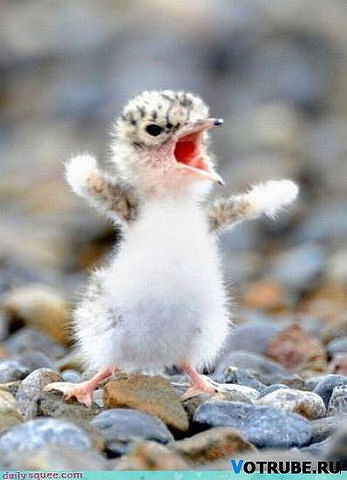 Марина Трубина