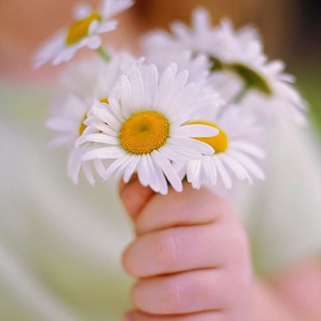 Наталья Телегузова