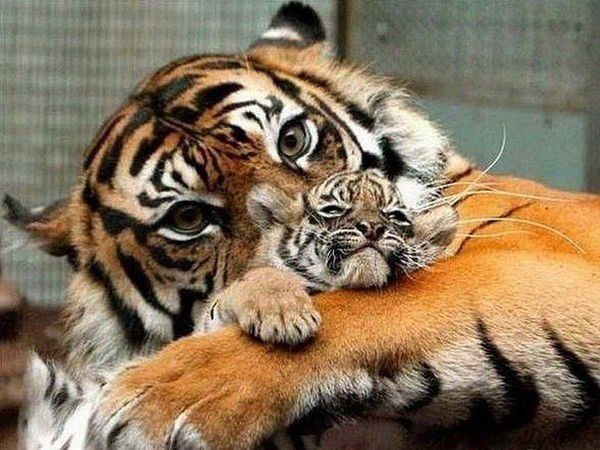 Оксана Аношкина