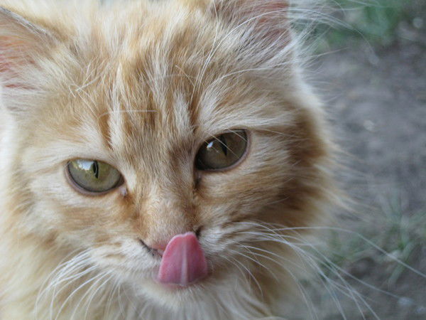 Надежда Терёхина