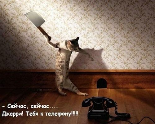 Антон Виноградов