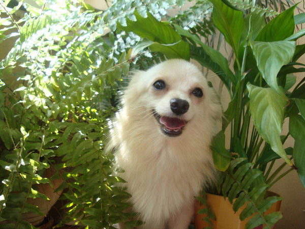 Неизвестно Неизвестно