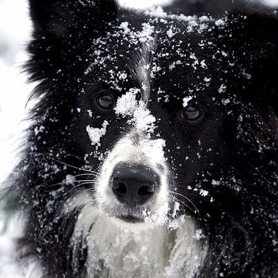 Лариса Громкова