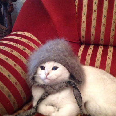 Лиза Малахова