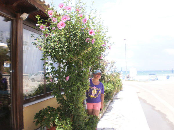 Надежда Куликова